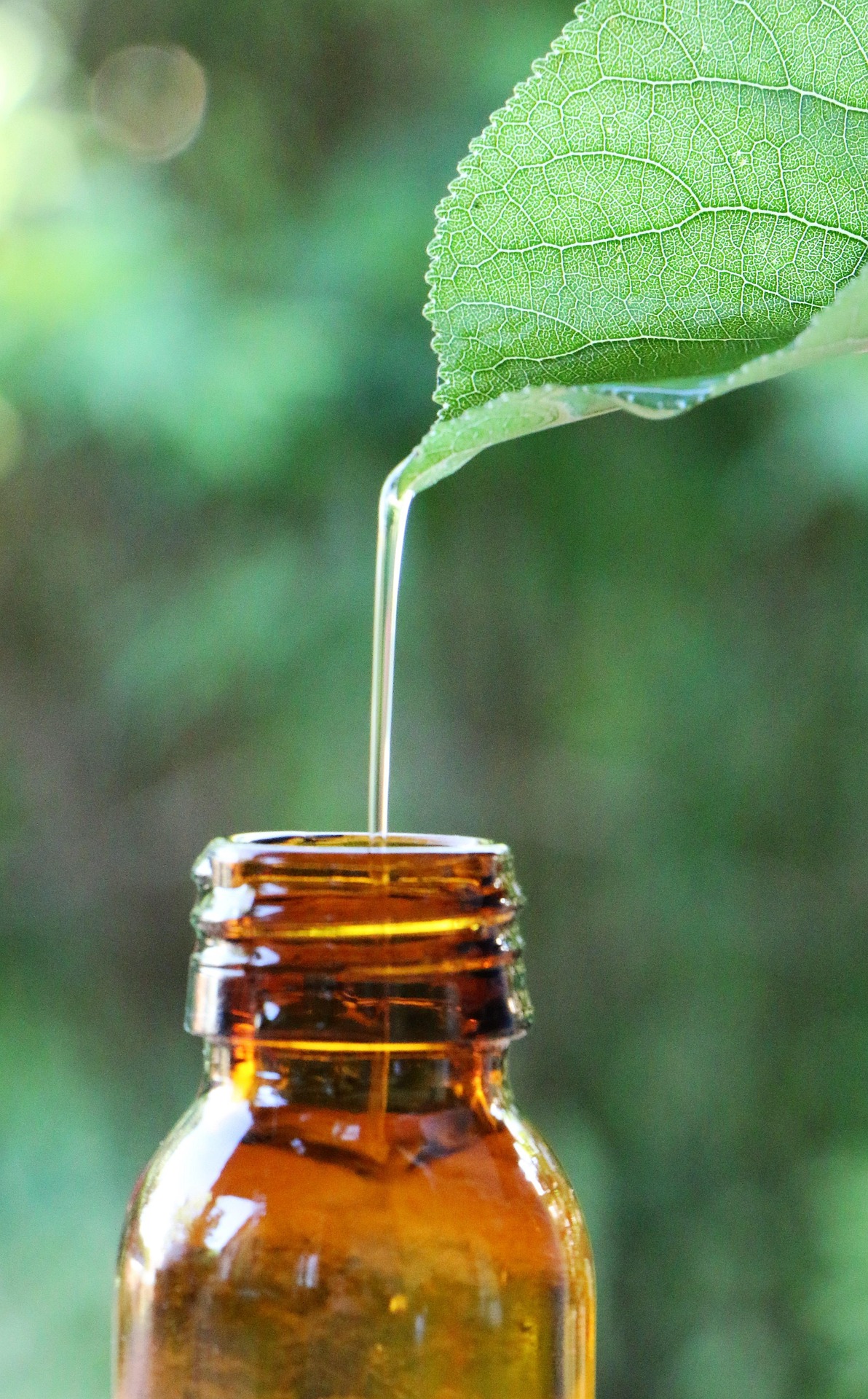globoxr essential oil 5982237 1920