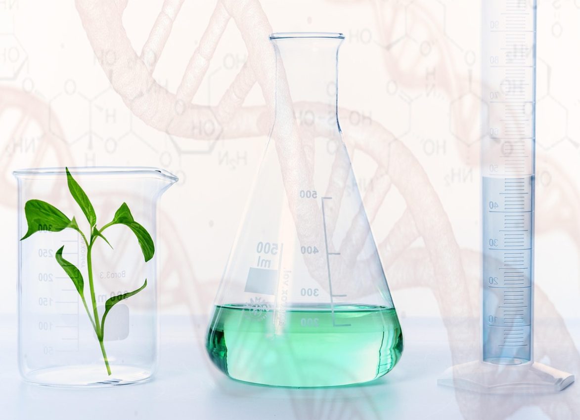 experiment, research, laboratory, science, plant, gmo, chemistry, biology, vial, chemicals, beaker, nature, graduated cylinder, glasswares, lab